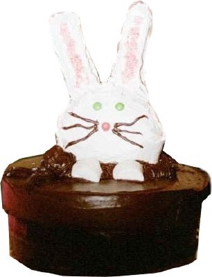 Rabbit in the Hat Cake