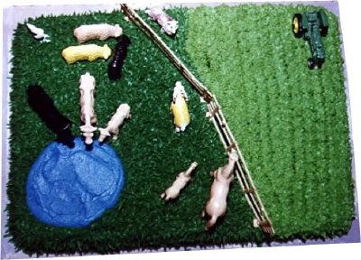 Groom's Cake